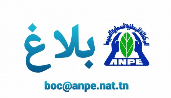 بــــــلاغ في إطار تطبيق أحكام الأمر الحكومي عدد 310 لسنة 2020 المؤرخ في 15 ماي 2020 يمكن للهياكل العمومية، عند معالجة المطالب المقدمة من قبل المستثمرين والمؤسسات الاقتصادية، للحصول على خدمة إدارية...