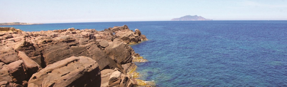 l&rsquo;environnement de demain