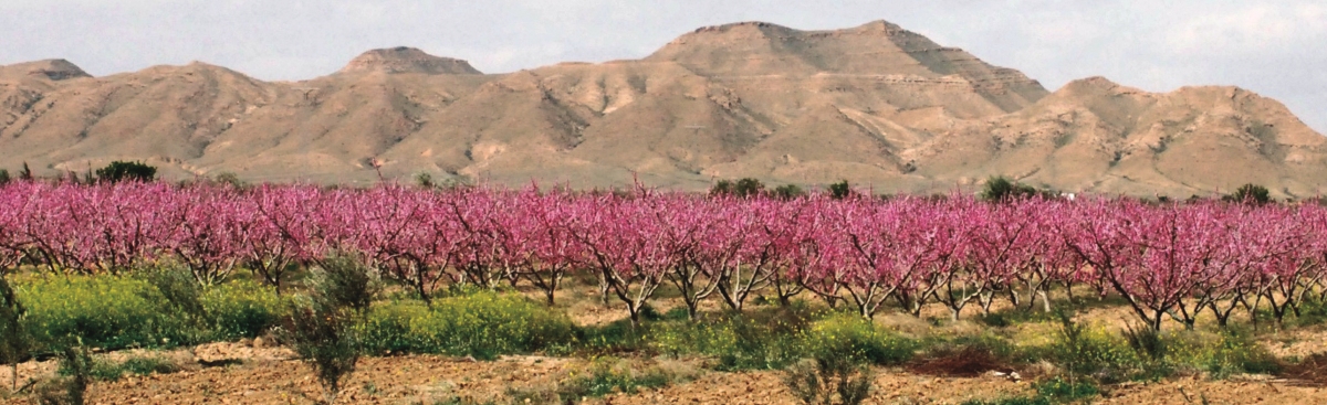 l&rsquo;environnement de demain