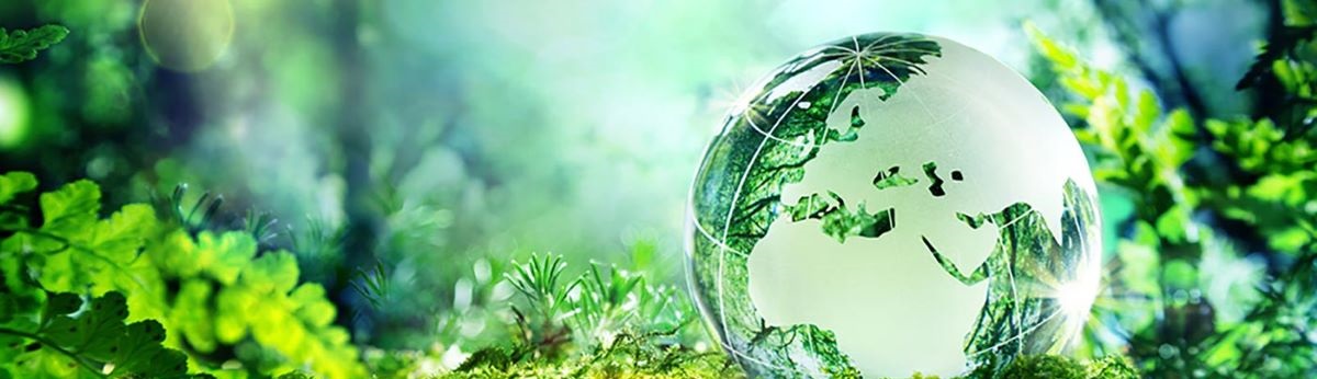 Protégeons aujourd’hui, l’environnement de demain
